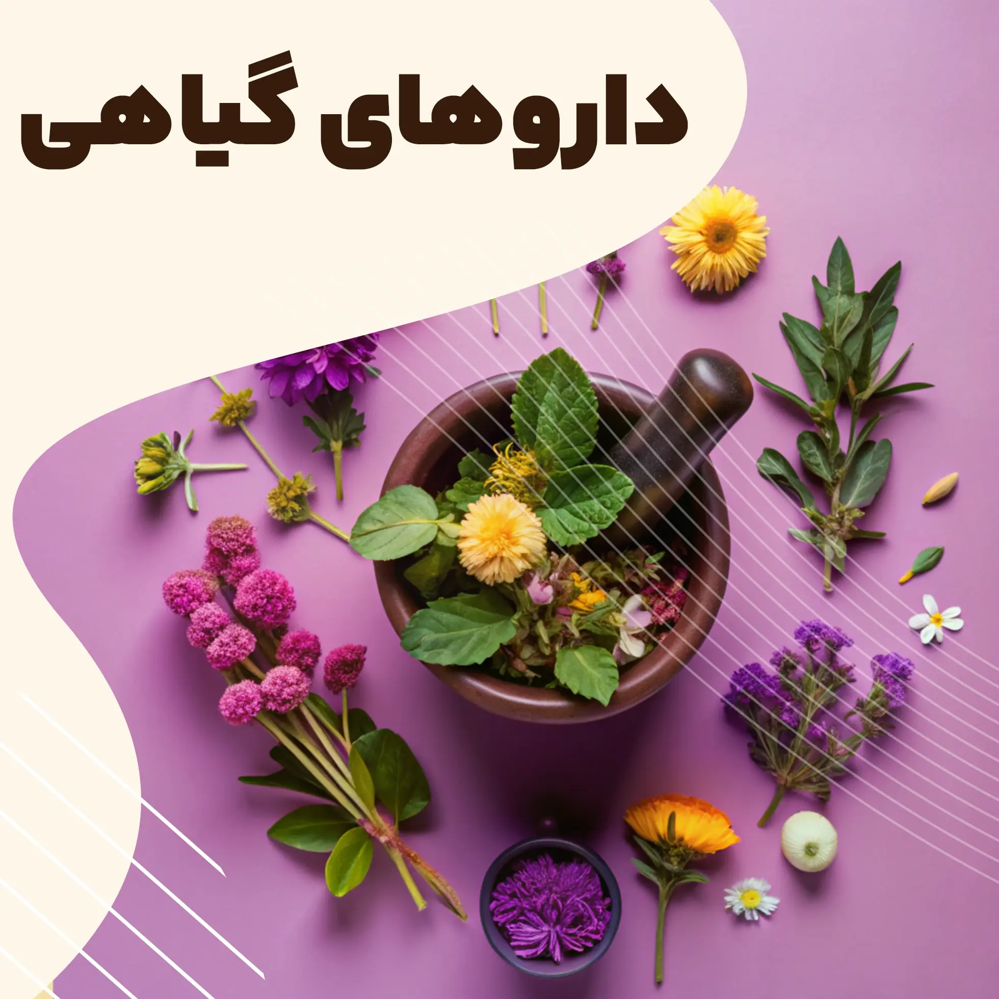 داروهای گیاهی