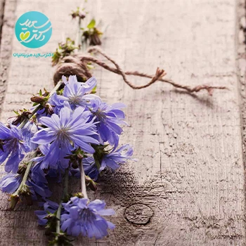 4 دارو هومیوپاتی غیربومی