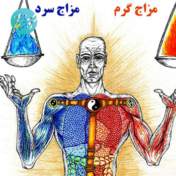 شربت اصلاح مزاج سرد(سکنجبین عنصلی)