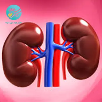 پکیج تقویت و گرم کننده کلیه