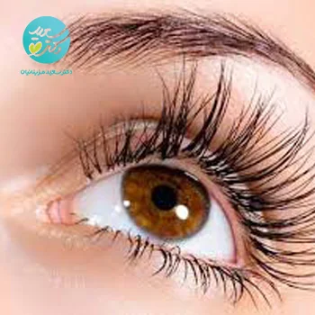پکیج ضد ریزش و تقویت مژه و ابرو