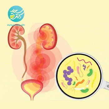 پکیج عفونت ادراری