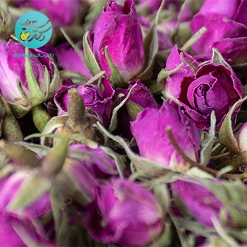 2 دارو هومیوپاتی غیربومی